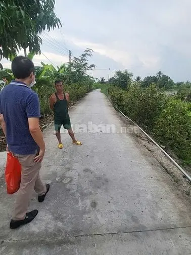 ✅ 1854M2 Đất Thủ Thừa Long An. Ngộp Bank