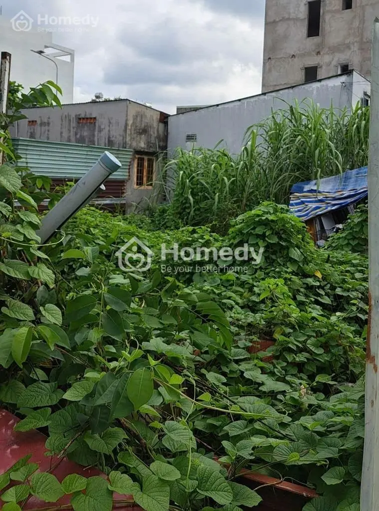 Mặt Tiền Kinh Doanh Cực Đỉnh Sát Phạm Văn Đồng Nở Hậu, Ngang Hơn 8M 372M2 Chỉ 38,5 Tỷ