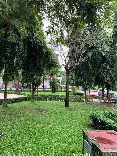 Bán Nhà Đường Số 86 Q6, View Công Viên (5X15) 4 Tấm Đẹp. Giá 11,8 Tỷ