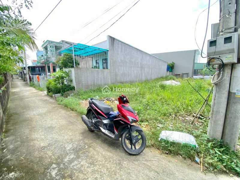 6059454 ảnh đại diện 1