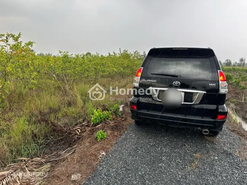3100M(44X65M) Đất Vườn, Chuyển Thổ Cư