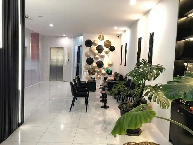 6060010 ảnh đại diện 1
