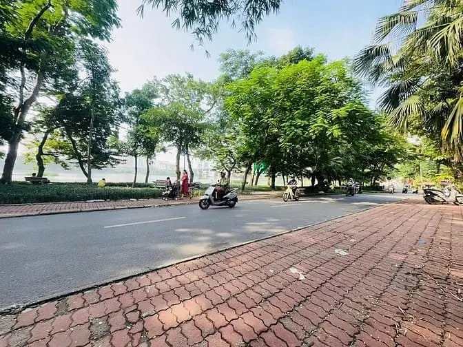 6059824 ảnh đại diện 1