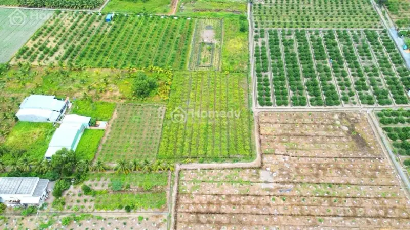 3100M(44X65M) Đất Vườn, Chuyển Thổ Cư