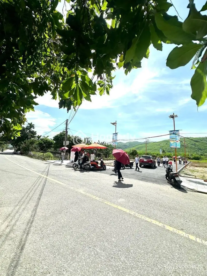 6059870 ảnh đại diện 1