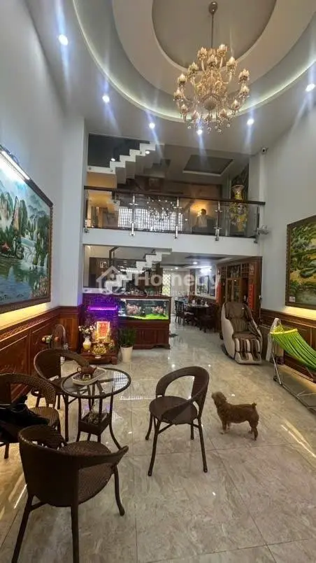 6059712 ảnh đại diện 1
