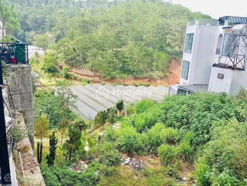 Bán Gấp Đất Biệt Thự View Rừng Thông Đẹp Đường Hoàng Hoa Thám – P.10 – Tp. Đà Lạt Giá Chỉ 8.3 Tỷ