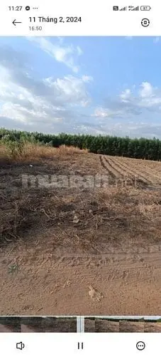 Chính Chủ Bán Đất Vườn 1.000M² – Giá Chỉ 600 Triệu