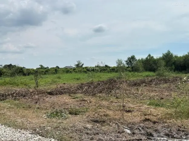 🏡 Bán Đất Nền Giá Rẻ -200Tr Xã Bầu Đồn, Gò Dầu, Tây Ninh