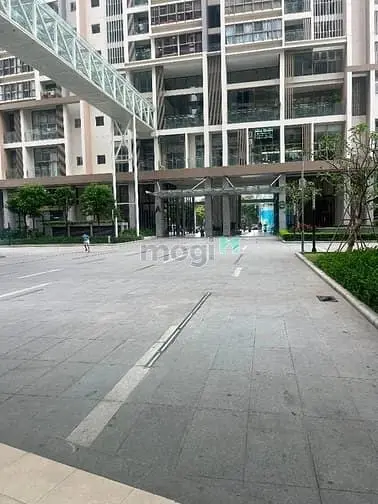 6059894 ảnh đại diện 1