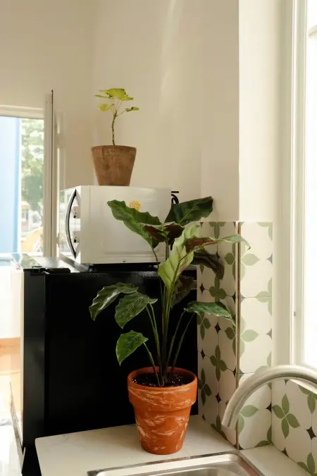 Cho Thuê Căn Hộ Duplex, Đầy Đủ Tiện Nghi