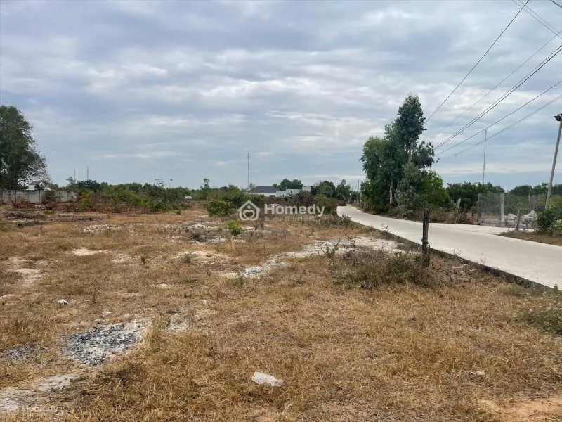 6059955 ảnh đại diện 1