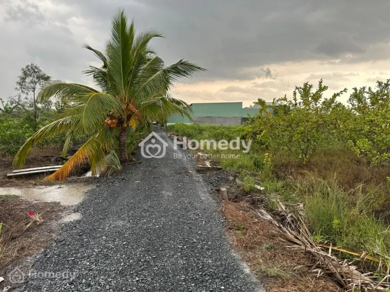 3100M(44X65M) Đất Vườn, Chuyển Thổ Cư