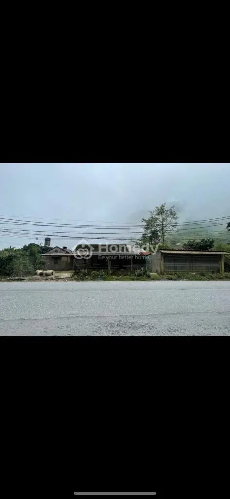6059504 ảnh đại diện 1