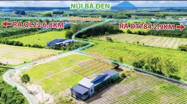 Đất Trung Tâm Bàu Đồn – Gò Dầu, Giá Chỉ Từ 390 Triệu