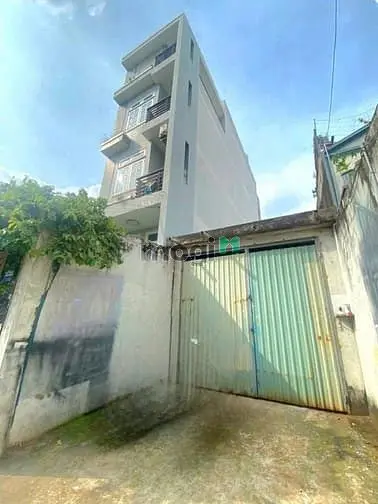 6060129 ảnh đại diện 1