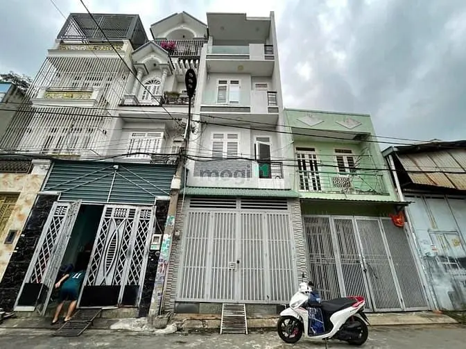 6060235 ảnh đại diện 1