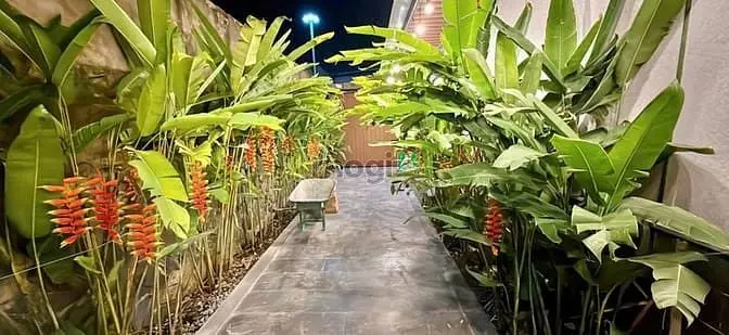 Cho Thuê Biệt Thự Mini View Sông Đ.nai P Bửu Hoà , Biên Hòa