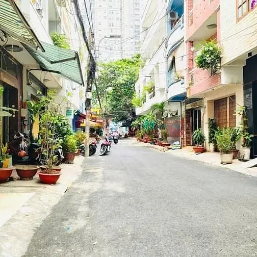 6060289 ảnh đại diện 1