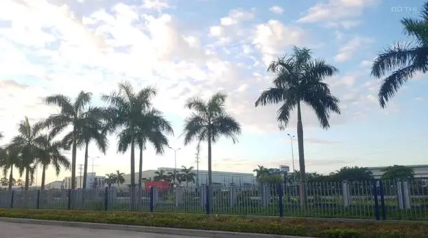 6060452 ảnh đại diện 1