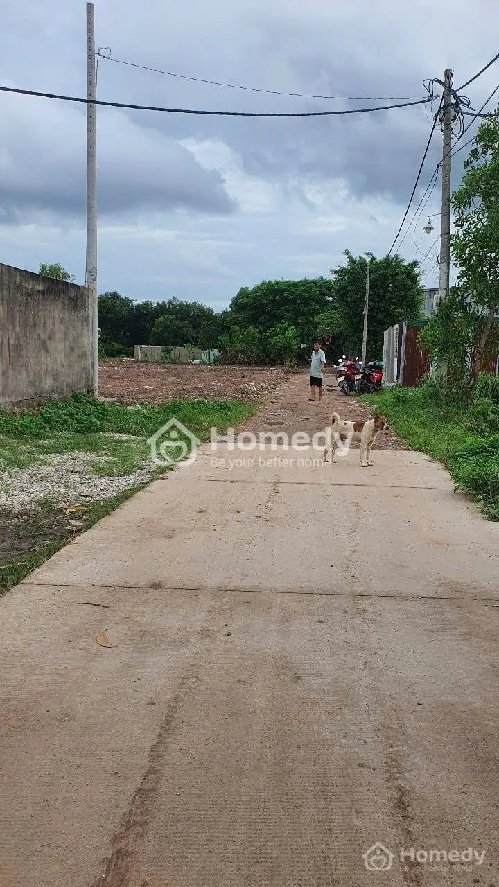 6060243 ảnh đại diện 1