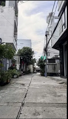 6060347 ảnh đại diện 1