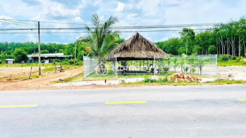 Bán Gấp Lô Đất Mặt Tiền Dt750, Đường Nhựa 42M, 4 Làn Xe