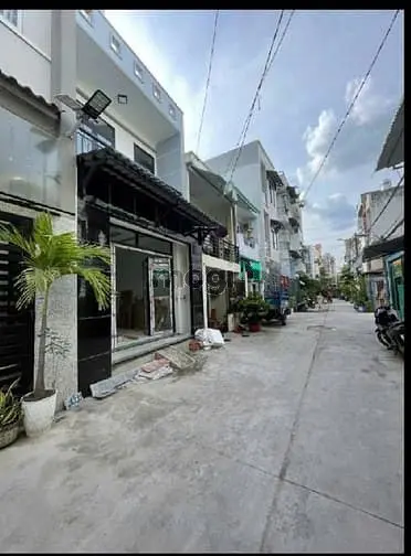 6060465 ảnh đại diện 1