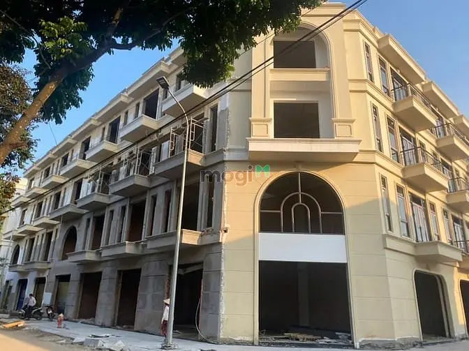 6060149 ảnh đại diện 1