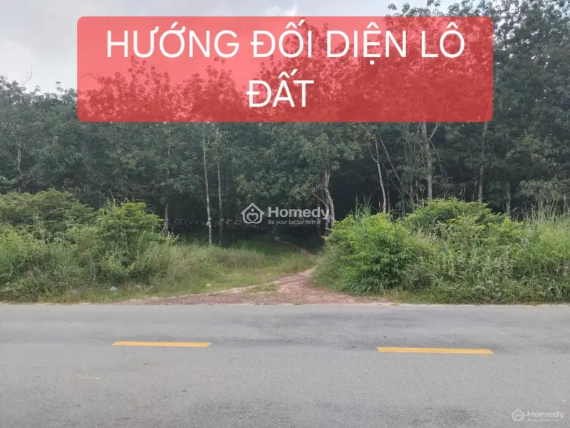 Bán Gấp Lô Đất Mặt Tiền Dt750, Đường Nhựa 42M, 4 Làn Xe