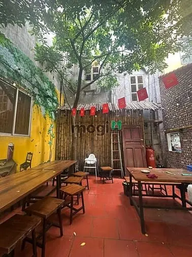 6060467 ảnh đại diện 1