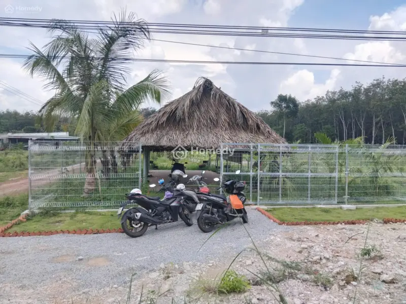 Bán Gấp Lô Đất Mặt Tiền Dt750, Đường Nhựa 42M, 4 Làn Xe