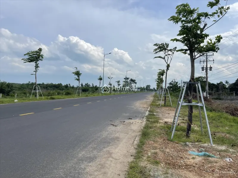 6060370 ảnh đại diện 1