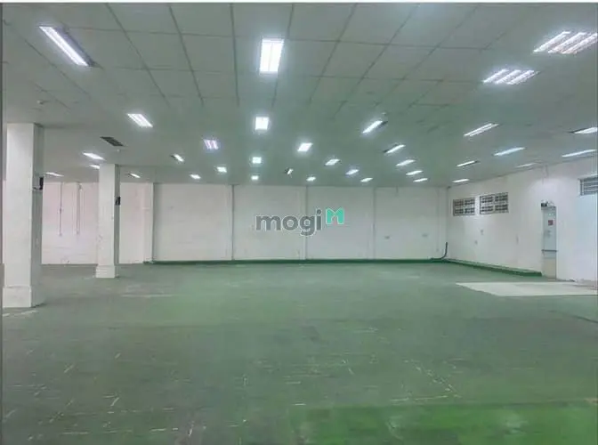 6060126 ảnh đại diện 1
