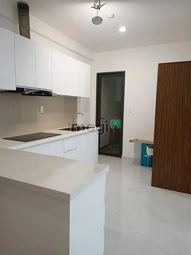 Cho Thuê Căn Hộ Tại D'lusso Quận Giá 16Tr/Tháng