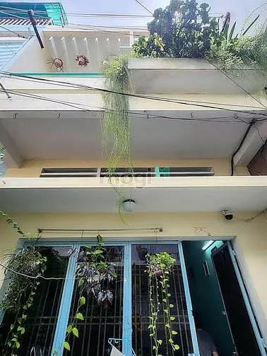 6060165 ảnh đại diện 1