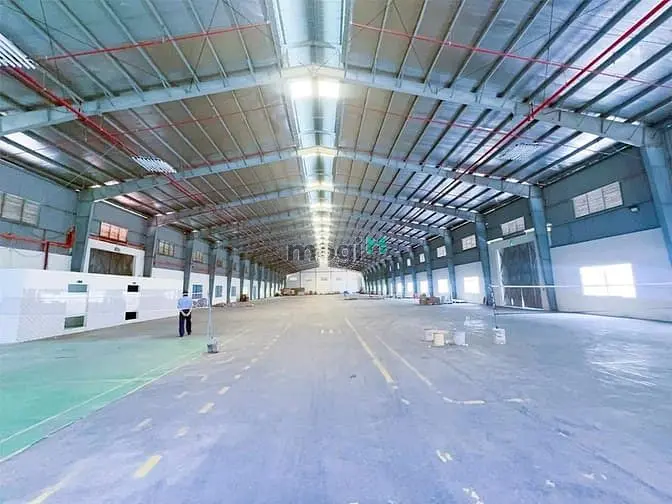 6060426 ảnh đại diện 1