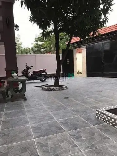 6060098 ảnh đại diện 1