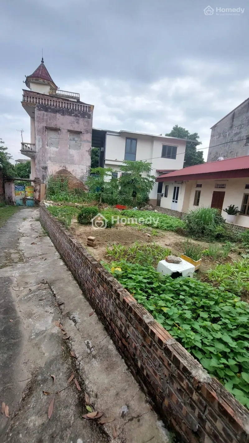 6060514 ảnh đại diện 1