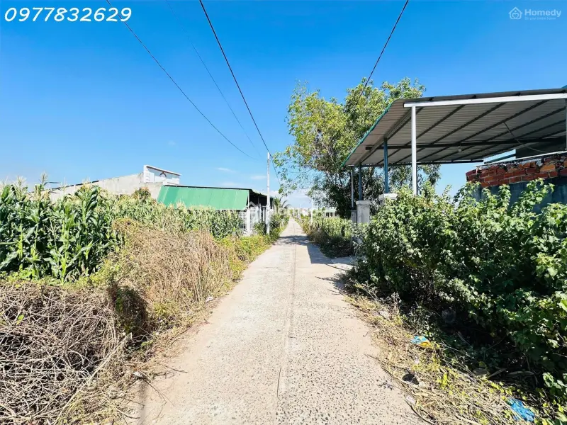 6060655 ảnh đại diện 1