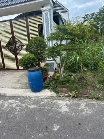 Cần Bán Gấp Đất Phú An, Bến Cát, Bình Dương Dt 200M2, Có 100M2 Thổ Cư.
