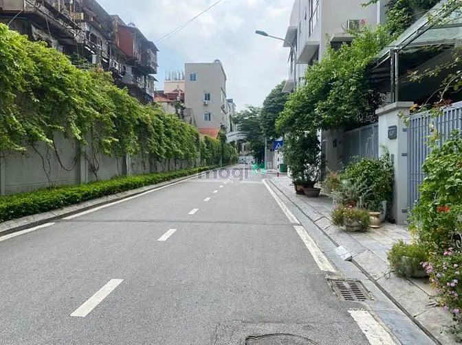 6060771 ảnh đại diện 1