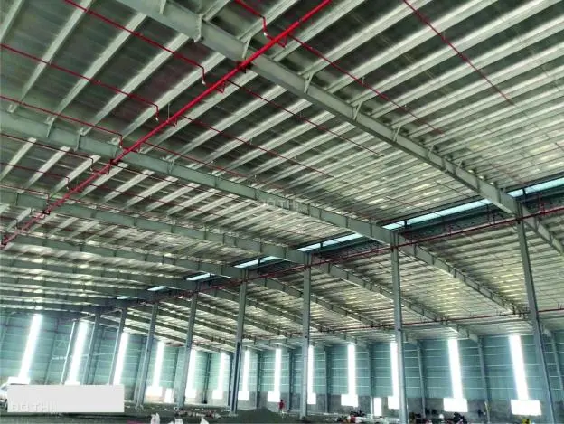 6060667 ảnh đại diện 1