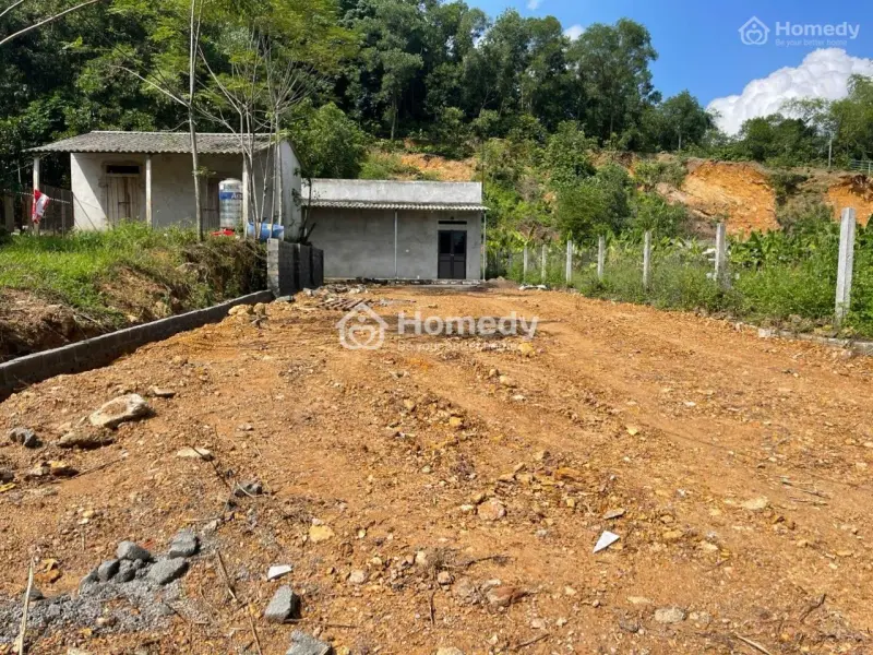 6060595 ảnh đại diện 1
