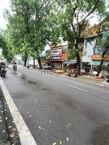 6060547 ảnh đại diện 1
