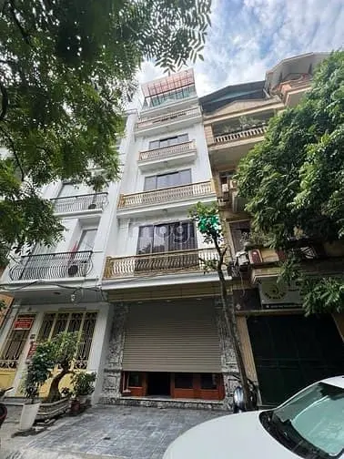 6060601 ảnh đại diện 1