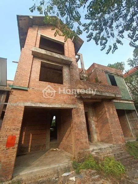 6060534 ảnh đại diện 1
