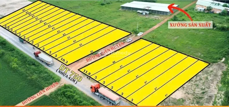 Lô Đất Mặt Tiền Dt750, S 250M2, Sổ Sẵn, Gần Kcn Bàu Bàng, Cây Trường, Xã Long Hòa, Bình Dương Cũ