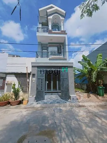 6060818 ảnh đại diện 1