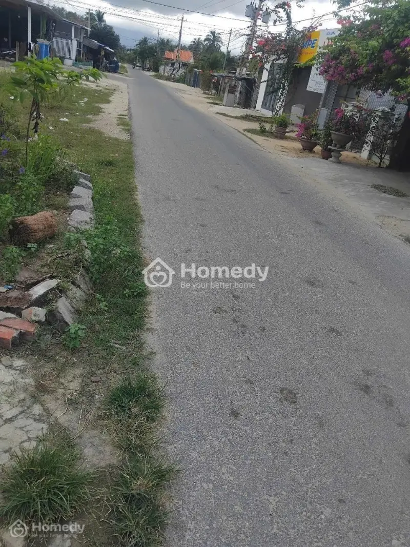 6061212 ảnh đại diện 1